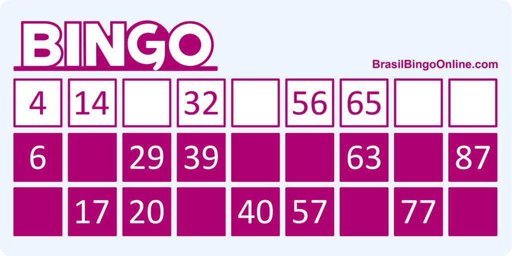 Bingo 90: dupla Linha