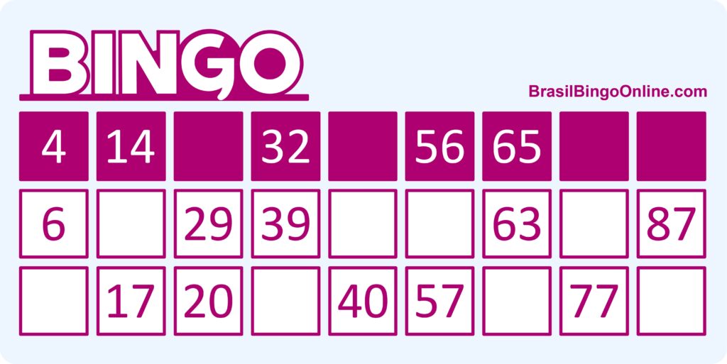 Bingo 90: Uma Linha