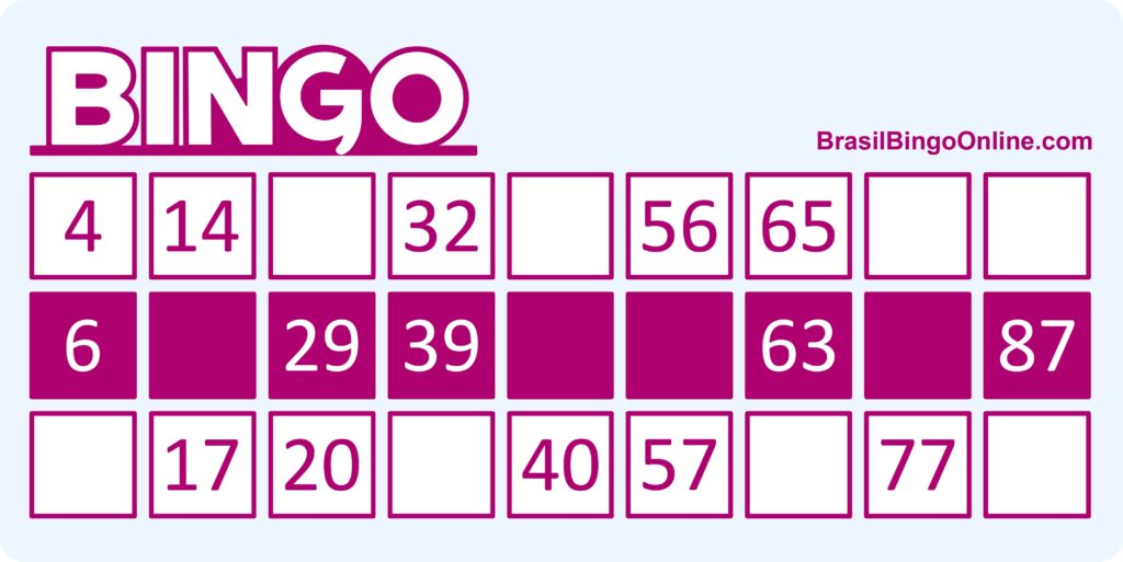 Bingo 90: Uma linha no meio