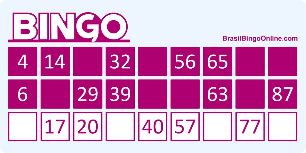 dupla Linha Bingo 90