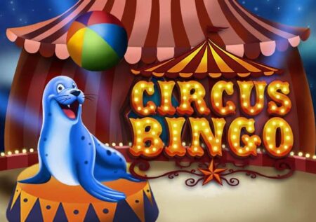 Circus Bingo: Análise completa do jogo