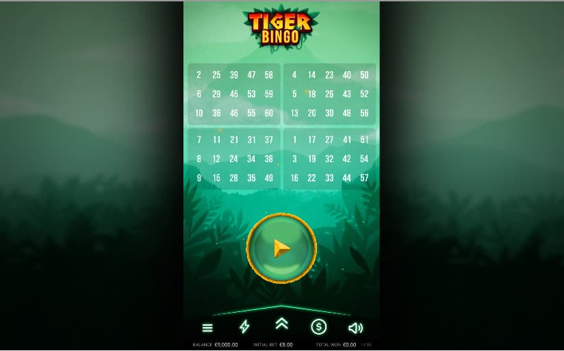 Tiger Bingo-2