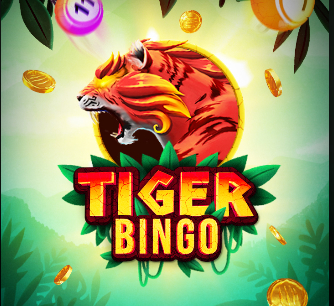 Tiger Bingo: uma análise completa do jogo