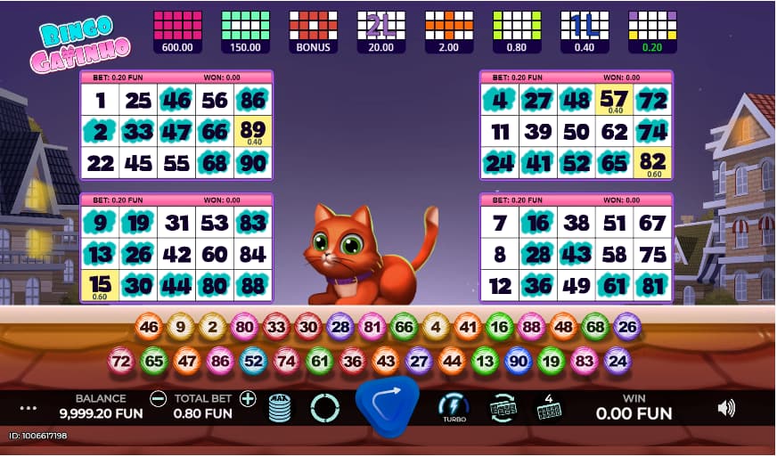 Bingo Gatinho